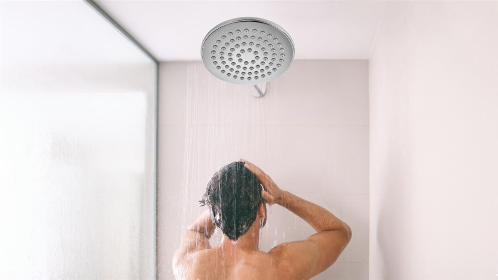 rainfall shower head